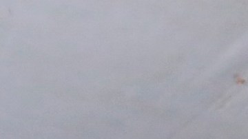 Elecciones en México.