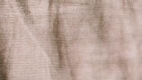 Anciana pierde perro en su casa