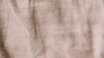 Anciana pierde perro en su casa