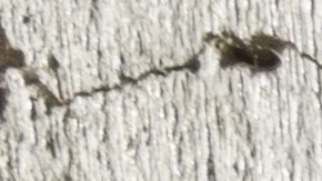 Asesina y corta el pene a su marido por infiel