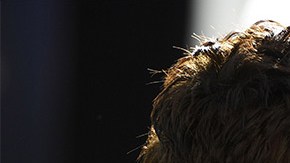 Benicio del Toro cree que se debe aplaudir a Lin-Manuel Miranda por "In The Heights".