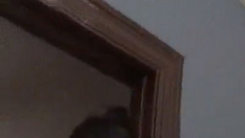 Electrocutaron a un niño migrante.