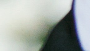 Boda viral adopción