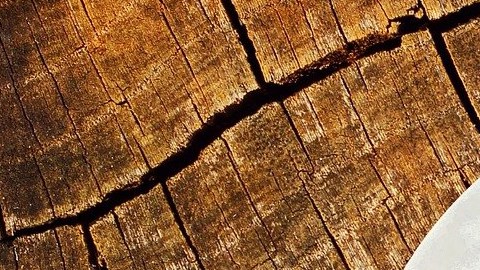 La mayoría de los productos de café molido Kirkland Signature se venden en variedades de 2.5 o 3 libras.