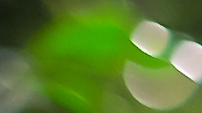 Mujer es castigada a caminar densuda por infiel