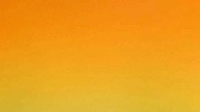 Cocodrilo muerte 300 personas