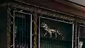 Tras años de críticas, Cristiano Ronaldo malvende su polémico apartamento en Trump Tower