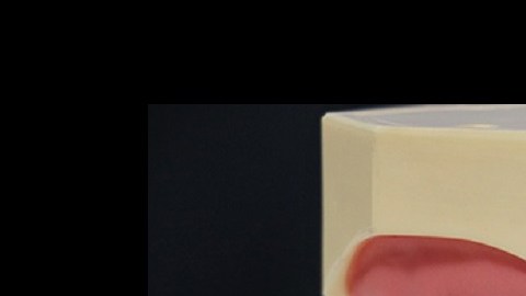 dentalslim