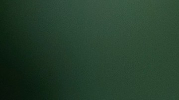 Le dispara a su suegra al confundirla con ladrón