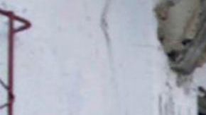 Su hermana Dolores con un retrato de los comienzos de Celia en Cuba.