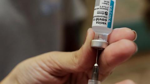 Experimento vacuna coronavirus