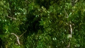 Supermercado Publix Florida