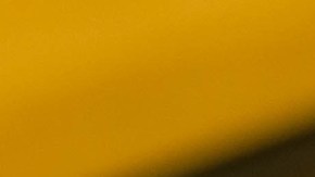 Invidente recibe beca para Universidad de Harvard