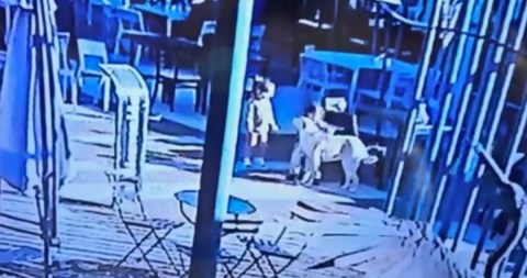 VIDEO: Se entrega hombre que mató de una patada a un perro en Argentina