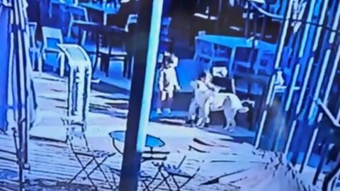 VIDEO: Se entrega hombre que mató de una patada a un perro en Argentina