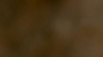 Mordida en la cabeza caimán