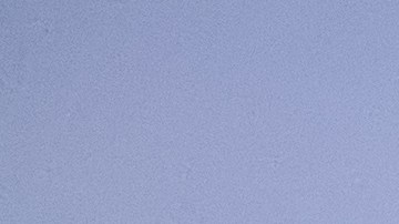 Muere niño clase judo