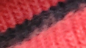 Niña muere por comer pedazo de pan envenenado