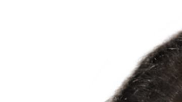 Menor hallado muerto Las Vegas