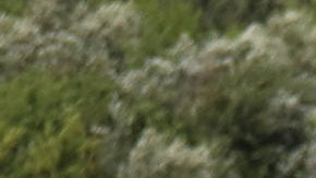 Niño nada más de una hora para salvar a su padre y hermana