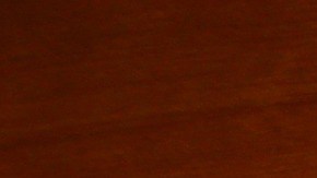 La querida mascota necesitaba un tratamiento de $700 dólares, pero la familia no podía permitirse este gasto.