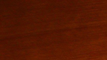 La querida mascota necesitaba un tratamiento de $700 dólares, pero la familia no podía permitirse este gasto.