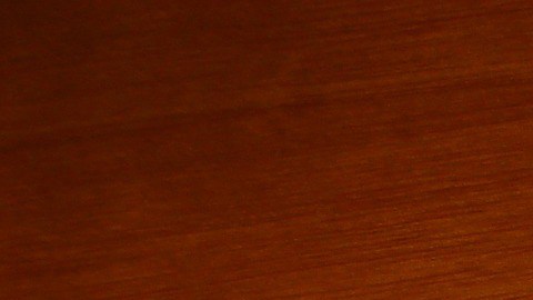 La querida mascota necesitaba un tratamiento de $700 dólares, pero la familia no podía permitirse este gasto.