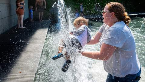 Ola de calor