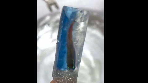 pez