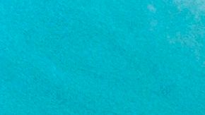 Desprogramación psicológica jóvenes secta