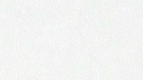 El personal del restaurante, en un inicio, no se dio cuenta de la gran suma de dinero que le habían dejado.