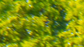 Sesión fotos boda camión basura