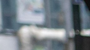 El voto anticipado municipal empieza el 12 de junio.