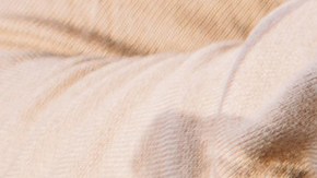 Tienes hasta el 30 de julio para aplicar para el empleo.