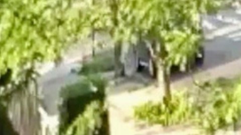 Vehiculo de los sospechosos.