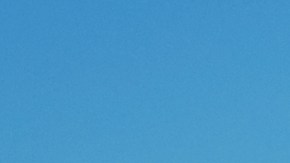 Se venga de su novio por abandonar a su perro