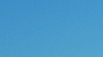 Se venga de su novio por abandonar a su perro