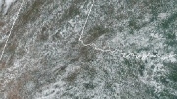 Elsa está a punto de volverse huracán otra vez y se acerca a Florida, donde hay alerta de tornados