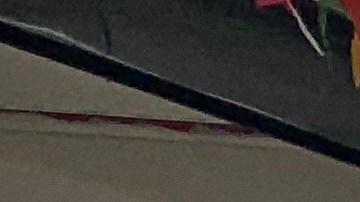 El IRS comenzará a depositar el jueves los pagos por el nuevo crédito por hijos