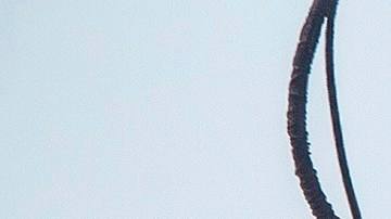 Derrumbe edificio Miami