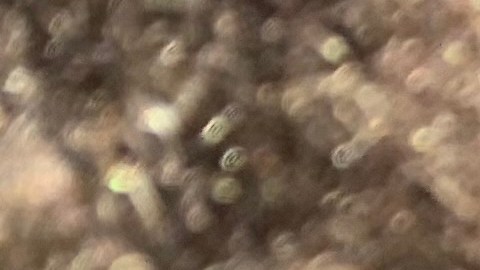 Exigen frenar traslados de desamparados de hoteles a albergues y poner fin a crisis de neoyorquinos sin hogar