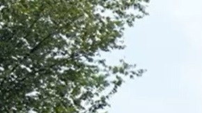 La organización ABIC organizó un evento frente al Capitolio para presionar por una reforma migratoria.