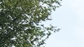 La organización ABIC organizó un evento frente al Capitolio para presionar por una reforma migratoria.