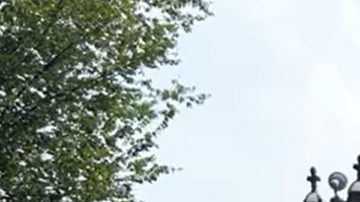 La organización ABIC organizó un evento frente al Capitolio para presionar por una reforma migratoria.