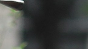 Justin Bieber junto a su esposa la modelo Hailey Bieber.