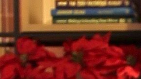 Adamari López repite cariño y se lleva a comer a Nacho Lozano.