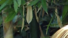 Se reúnen dos de las estrellas de Amigas y Rivales: Adamari López y Ludwika Paleta.