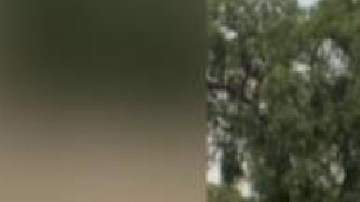 Adeline, Temascalapa