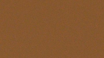 Britney Spears no quiere la tutela legal de su padre, pero sí quiere a su otra tutora Jodi Montgomery.