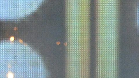 Britney Spears publica imagen casi desnuda y de espaldas pero sus fans dicen que no parece ella.